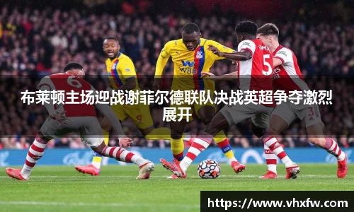 布莱顿主场迎战谢菲尔德联队决战英超争夺激烈展开